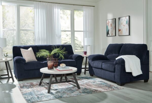 24205-38-35-t243-13-pillow_orig.jpg Ashley 242-05 Sofa & Loveseat
