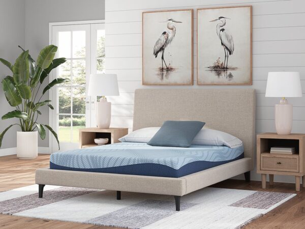 m20431_orig.jpg M204 - 8" Memory Foam (Firm) - Twin, Full