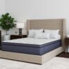 royal-pt-room-edit_orig-3.jpg ROYAL ULTRA PLUSH 12" HYBRID - Twin, Full, Queen, King